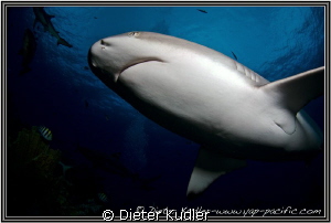 Out of the dark. by Dieter Kudler 